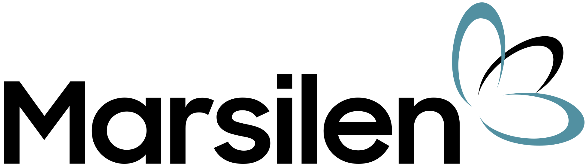 Marsilen Logo