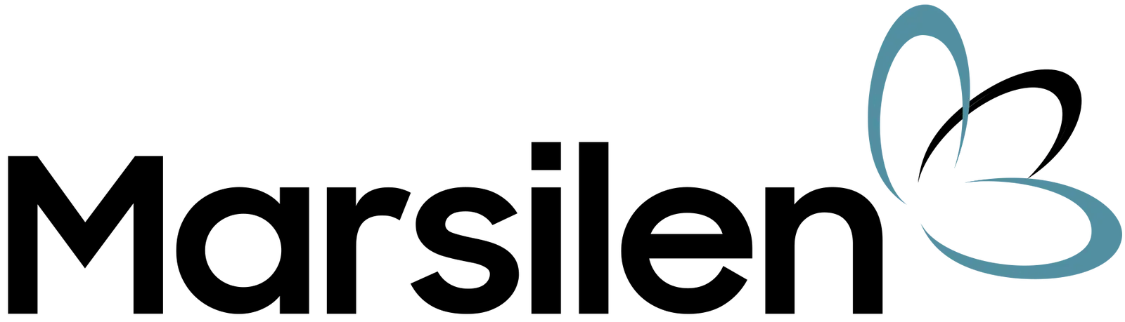 Marsilen Logo